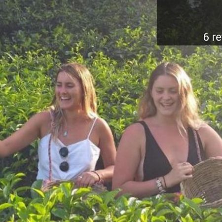 Tea Villas Ела Екстериор снимка