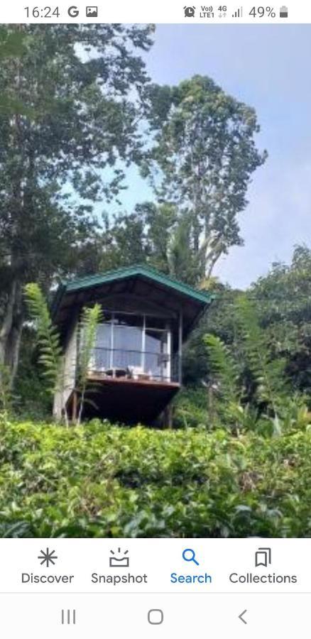Tea Villas Ела Екстериор снимка