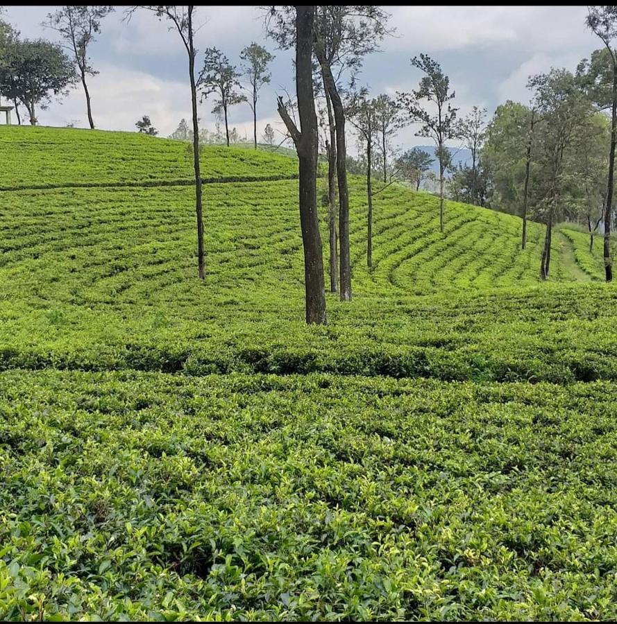 Tea Villas Ела Екстериор снимка