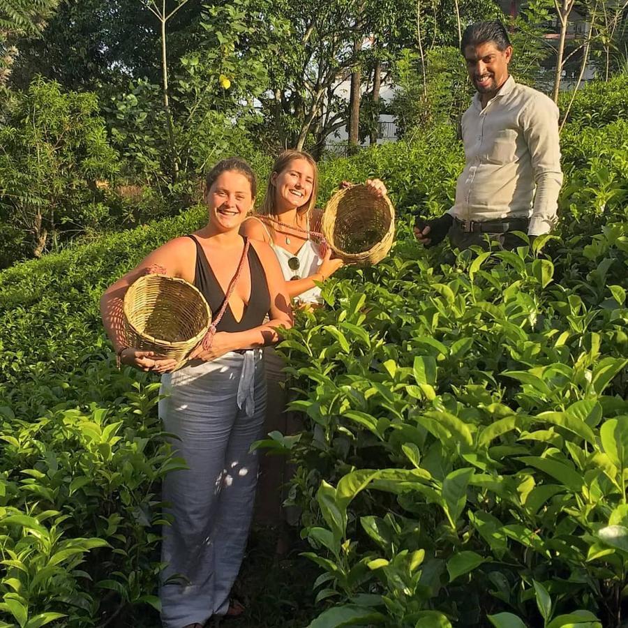 Tea Villas Ела Екстериор снимка